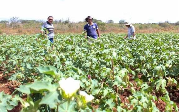 Prefeitura de Campina Grande divulga chamada pública para aquisição de alimentos da agricultura familiar para o PNAE 2026